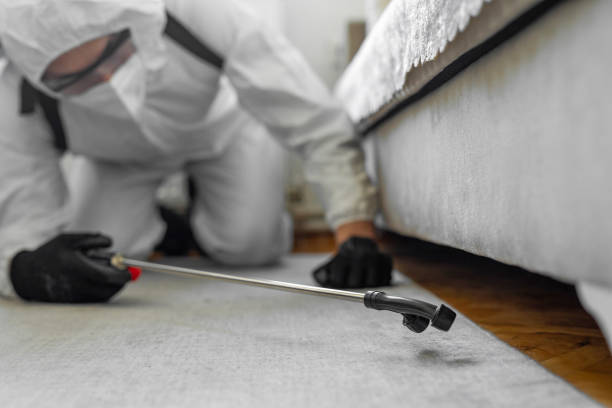 Professional Ant Control technician working in Calexico, CA